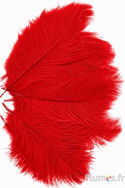 Struisvogel  - 13-18 cm - rood